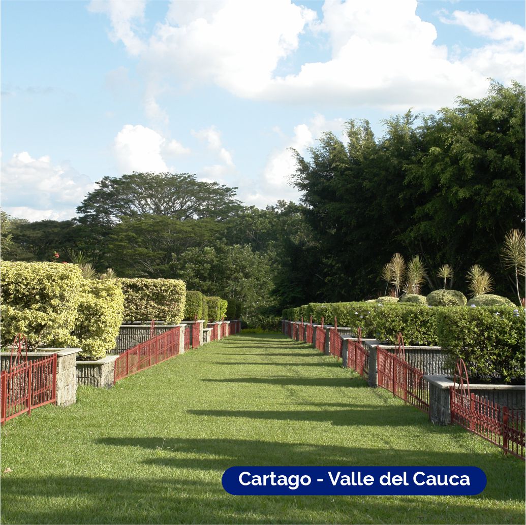 Mausoleos en Cartago – Un Espacio Privado y Solemne para el Descanso Eterno